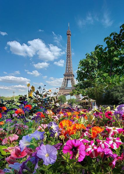 Flowers and Eiffel Tower in Paris-France